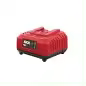 3122AA Cargador 20V - 1