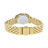 MichaeL-Kors. Reloj analogico para Mujer de Cuarzo con Correa en Acero Inoxidable MK3229 - details 0