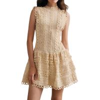 Vestido Mini De Encaje Con Agujeros Huecos Para Mujer Cuello Erguido Sin Mangas Cintura Alta Spliced Botones Estilo Vintage - details 2