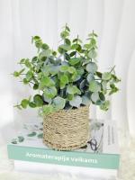 Planta Artificial De Eucalipto En Maceta Cilíndrica Para Decoración De Oficina Y Fiestas Prop De Exhibición De BONSAI - details 0