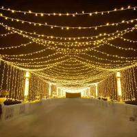 Luces De Navidad LED 10/20M Cadena De Luces De Hadas Para Decoración De Fiesta De Boda Y Año Nuevo EU Enchufe Exterior - details 6