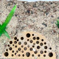 Cueva De Acuario De Plástico Para Pequeños Peces Y Camarones Decoración De Tanque Protector De Albergue Para Mascotas De Cría De Camarones - details 4