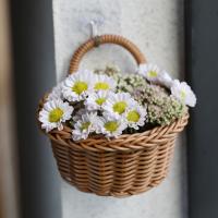 Cesta De Almacenamiento De Rattan Con Manija Diseño Minimalista Para Cocina Y Sala De Estar Organizador Ecológico De Frutas Y Alimentos - details 4