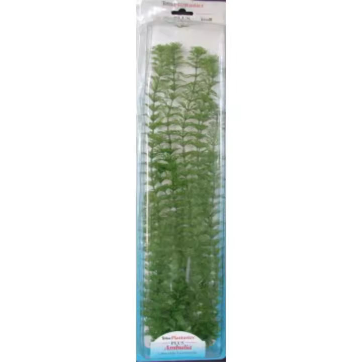 San Dimas - PLANTA AMBULIA PLUS (28-33CM) - 1