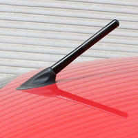 Antena De Techo Para Coche 12CM Fibra De Carbono Receptor Antena Corta Para Ford Focus 1 2 3 4 MK1 MK2 MK3 MK4 Mondeo EcoSport Ranger - details 4