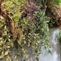 75cm Artificial Vines Hojas Verdes De Seda Para Decoración De Hogar Jardín Bodas Arandelas De Bambú Rattan Disponibles Para Exposición En Interiores Y Exteriores - details 5