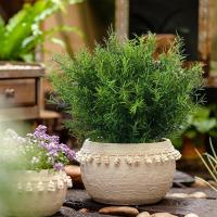 7 Ramas De Flores Artificiales Con Hierba Plástica Para Decoración De Boda Hogar Jardín Vaso Fotografía Interior Bonsái Plantas Falsas - details 13