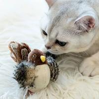 Juguete Interactivo Para Gatos Pájaro Volador Con Alas Movibles Sparrrow Con Menta Simulación De Pájaro Juguetes Para Gatos - details 6
