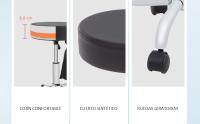 T-LoVendo Taburete Giratorio elevable con Bolsa Silla de Trabajo banqueta Peluqueria Masajista Centro Estetica - details 0