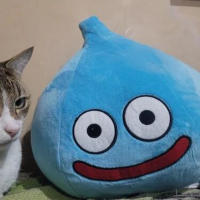 Peluche De Dragon Quest Sonriente 30cm Juguete De Peluche De Anime Cartoon Regalo De Cumpleaños Para Niños Decoración Para El Hogar - details 6