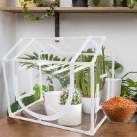 Carpa De Jardín Para Plantas Insecto-Resistente Y Anti-Pájaros PVC Cubierta Temporada Fría Calentamiento Invernadero Portátil Protección UV Y Viento - details 7