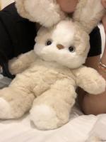 Muñeco De Peluche Conejo Con Almohada De Sueño Para Niñas Regalo De Cumpleaños O Día De San Valentín Personaje De TV Y Cine - details 3