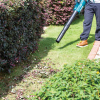 MAKITA DUB184Z - Soplador de mano BL 18V LXT Potente soplador a batería - details 3