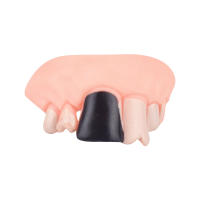 Dientes Falsos Para Perro Divertidos Disfraz De Dentadura Dental Para Decoración De Mascotas Halloween Cosplay Humanos Y Vampiros Juguetes De Interacción - details 5