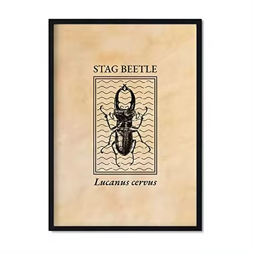 Nacnic Lámina Vintage Escarabajo Ciervo. Pósters De Insectos En Estilo Grabado Y Tonos Sepia. Decoración De Interiores.. - 1