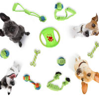 ACE2ACE Quita Pelos Mascotas, Rodillo Quitapelos Mascotas, Reutilizable Cepillo Pelo Perro y Gatos, Recoge Pelos Mascotas de Alfombras, Ropa y sofá - details 7