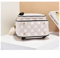 Bolso Cruzado De Hombre Único Gran Capacidad Para Viajes De Ocio Material Principal PVC With Lining De Acrílico - details 15