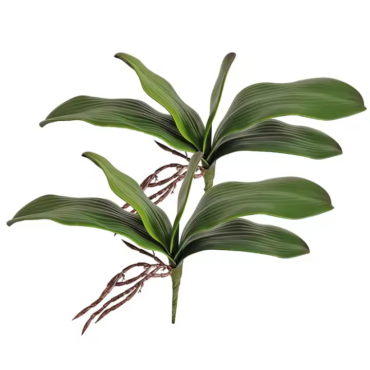 1Pcs Gran Tamaño Artificial Filo De Orquídea Falsa En Latex Toque Real 5 Pétalos Verde Para Jardín De Flores Simulación De Moth - 1