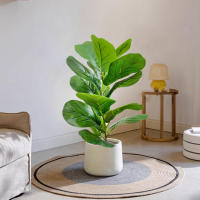 Arbusto De Ficus Artificiales Nórdicos En Maceta 35-63cm Decoración De Hogar Y Jardín Estilo Silken Tree Para Exposiciones Y Ambientes Al Aire Libre - details 1
