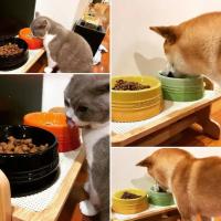 Tazón De Alimentos Para Mascotas Extra Ancho Anti Derrames Elevado Alivio Del Estrés De Pecho Para Gatos Y Perros Cerámica - details 11