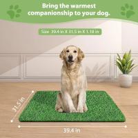 Pataca De Grama Artificial Para Perros Grande Tapete De Inodoros Portátil Para Entrenamiento De Mascotas Material Fibra Lavable Al Agua Ideal Para Exteriores - details 56