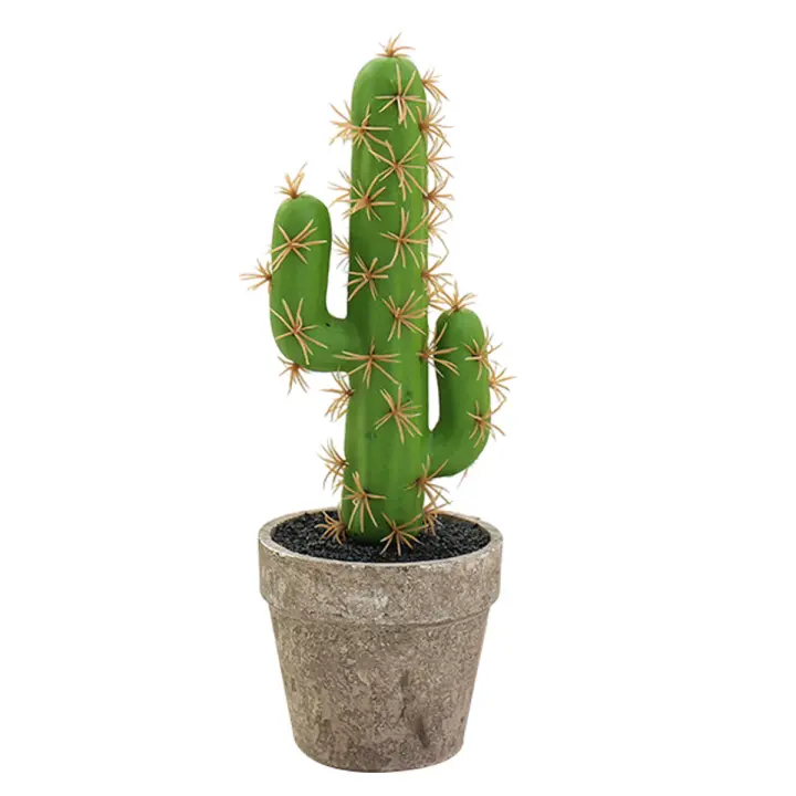Simulación de cactus en macetas, decoración Creative de interiores, pequeños Flores de simulación. - 1