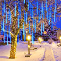 Luces De Show Meteorito LED Para Jardín Decoración De Navidad Y Bodas Con Enchufe EU Fuente De Alimentación AC Lámpara De Calle Exterior - details 0