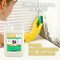 Limpiador de Moho Lavanya - Elimina Moho, Hongos y Humedades de Paredes y Techos - Garrafa de 5 litros - details 3