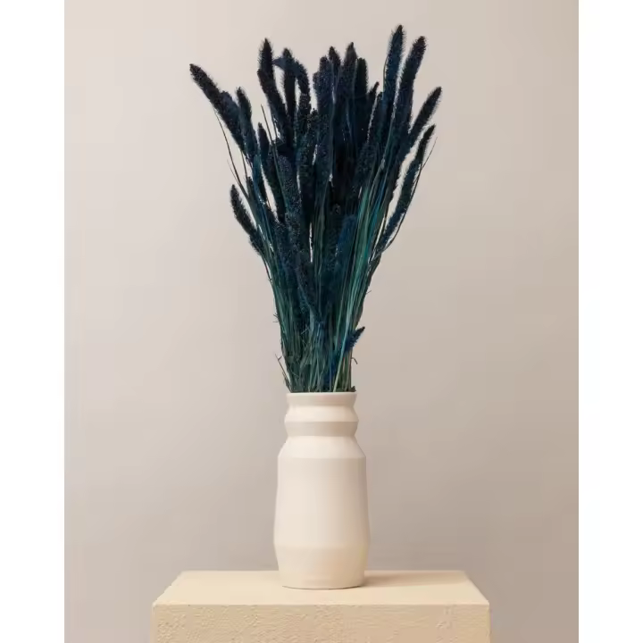 Setaria seca azul oscuro (mazo)-Mazo completo - 1