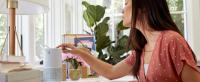 Bose Portable Smart Speaker - Altavoz portátil con control de voz Alexa integrado - details 3
