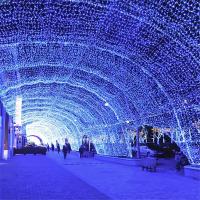 Guirnalda De Navidad LED Con Enchufe EU 10/20M Para Árbol De Navidad Fiesta Bodas Año Nuevo Luces De Fiestas Exterior - details 9
