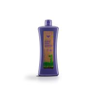 Salerm Biokera Natura Grapeology Champú Protector Del Color - details 0