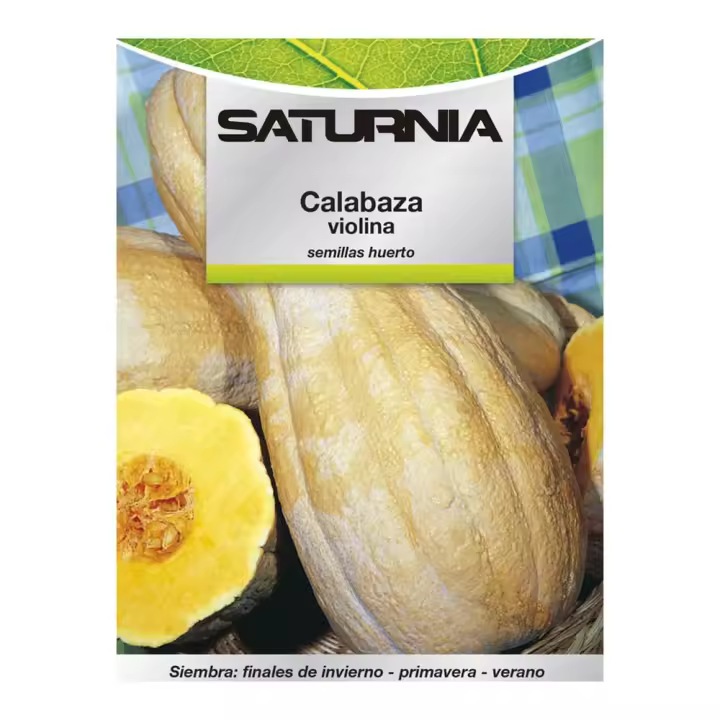 Semillas Huerto Calabaza Violina - 1