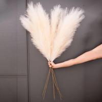 Pampas Artificial De 90/120 Cm Flores Decorativas Para Hogar Fiesta De Boda Arreglo Floral Decoración De Mesa Reed Grass Fluffy - details 1