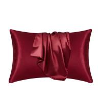 Funda De Almohada De Seda Mulberry Natural 100% Protege Pelo Y Piel Personalizable Tamaño Cualquiera Ropa De Cama Ecológica - details 8