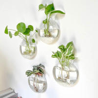 Terrario De Vidrio Para Plantas Colgante Estación De Propagación Vaso De Pared Decoración Para Oficina Y Hogar Moderno - details 8