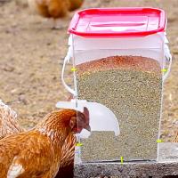 Alimentador automático del pollo de la gravedad ninguna basura, alimentador del pollo - details 0