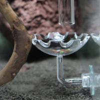 Tanque De Acuario Transparente Alimentador De Peces Y Camarones Círculo De Alimento De Vidrio Fleeting Para Sujeción En La Base - details 16