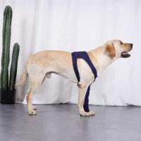 Pattinillas Para Perros Soporte De Rodilla Con Envolvente De Rodilla Antiladridos Protector De Lesiones Músculos Y Articulaciones Frontales Material Algodón Transpirable - details 4