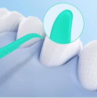 300pcs DR.BEI Floss Dental Profesional Diseño Ergonómico Plástico De Grado Alimenticio Para Limpieza De Dientes Para Adultos - details 4