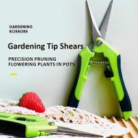 Tijeras De Jardín De Acero Inoxidable Para Podar Flores Y Frutas Adecuadas Para Podar Uvas Cabeza Recta Herramienta De Jardinería - details 0