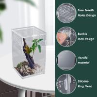 Enclosure De Acrílico Para Reptiles Terrario De Cría Transparente Para Dragón Barbudo Y Araña Cisne Jaula De Habitaculo Para Escorpión - details 2