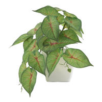 1pc Plantas Artificiales Pequeñas Con Macetas De Plástico Decoración De Escritorio Para Oficina Y Hogar Ambiente Interior Y Exterior - details 19