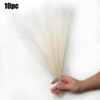 10Pcs Bouquet De Pampas Artificial Para Decoración De Casamiento Fiesta Hogar Dormitorio Flores Silken Reemplazo De Plantas Verdaderas - details 7