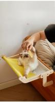 Hammock Para Gatos Universal Desmontable Fácil De Limpiar Adecuado Para Pequeños Gatos/Cachorros Cama Con Almohadilla Para Balcones Y Ventanas De Madera - details 6