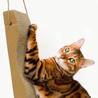 Rascador para gatos de Carton Forma Ola con bolsita de Catnip . Arquivet - details 1