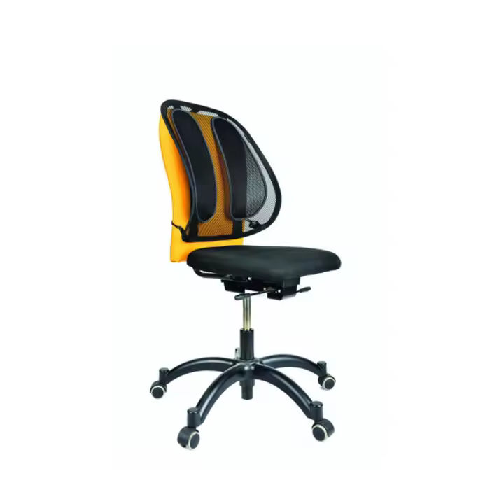 RESPALDO LUMBAR MESH OFFICE FELLOWES 9191301 - 1