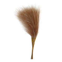 10PCS Pampas De Paja Fluffy 55CM Decoración Bohemia Para Fiesta Y Hogar Plantas Artificiales De Rabo De Sapo Para Boda - details 18