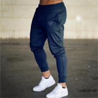 Pantalones Deportivos De Verano Y Primavera Para Hombre Con Estampado Fitness Running Entrenamiento Cómodos Y Elásticos Talla True - details 8