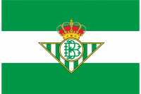 Bufanda Real Betis Balompié 132x19 Unisex  ideal para regalos y cualquier momentos - details 1